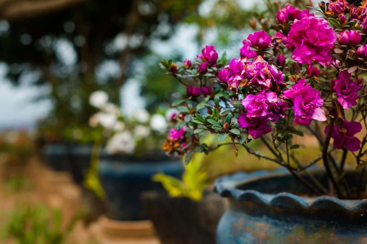 Ivato  Somptua Garden 아파트 외부 사진